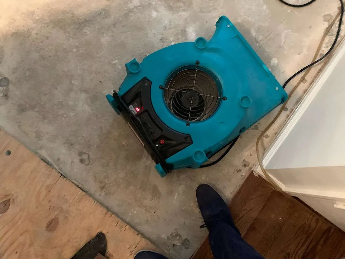 Air mover drying subfloor during Leak Detection & Repair in Marion
